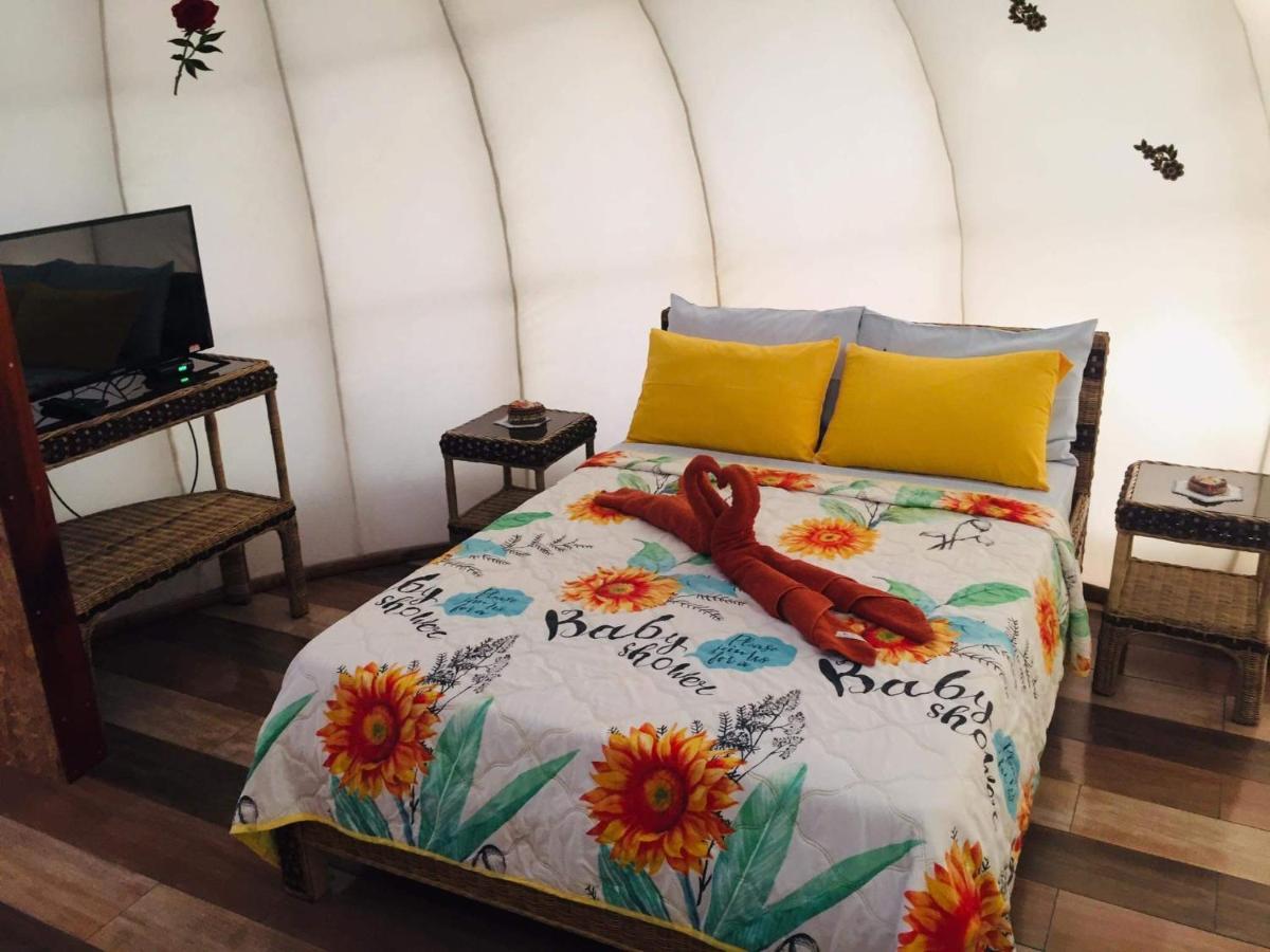 Shenanigans Glamping Resort Zamboanguita  Exteriör bild